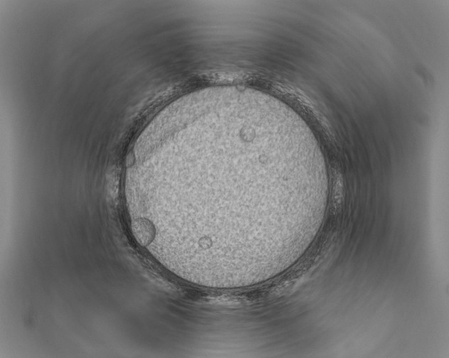 X0000111200545200908121112