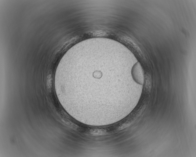 X0000111200549200908121113