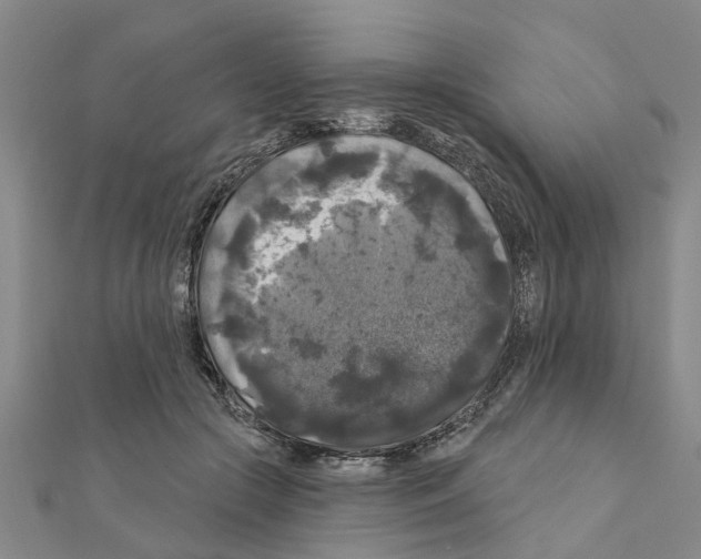 X0000111200553200908121113