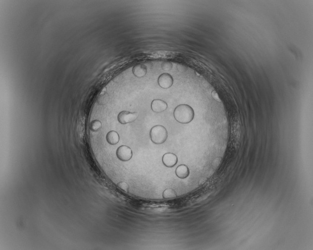 X0000111200554200908121113