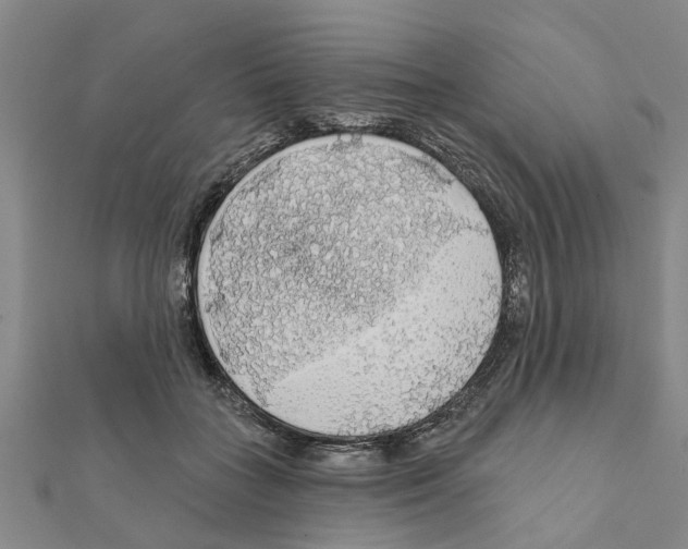 X0000111200555200908121113