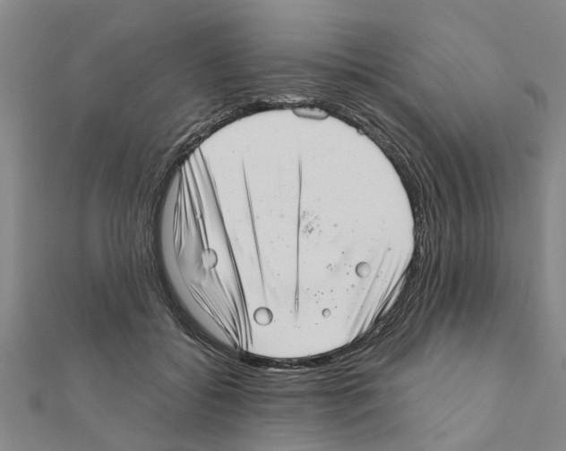 X0000111200556200908121113