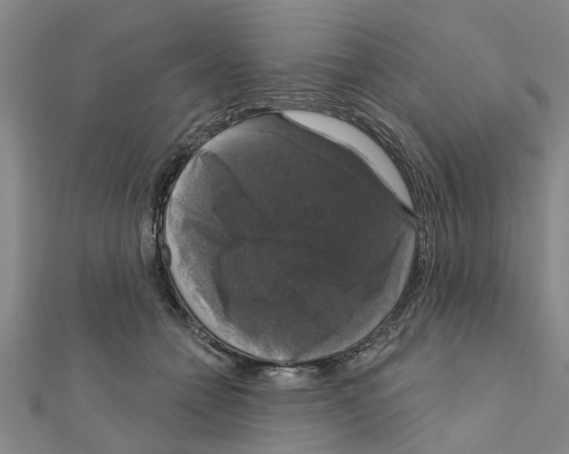 X0000111200558200908121113