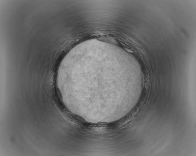 X0000111200560200908121113