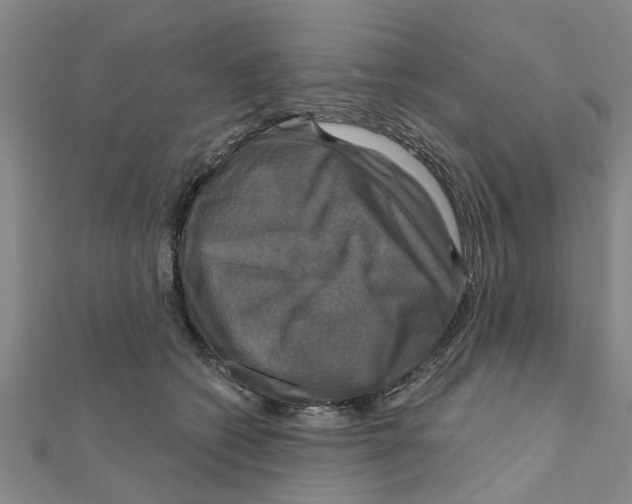 X0000111200562200908121113