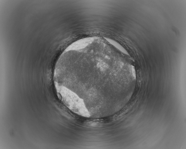 X0000111200563200908121113