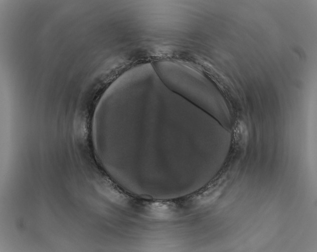 X0000111200566200908121113