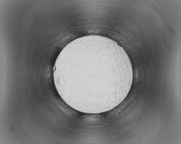 X0000111200567200908121113