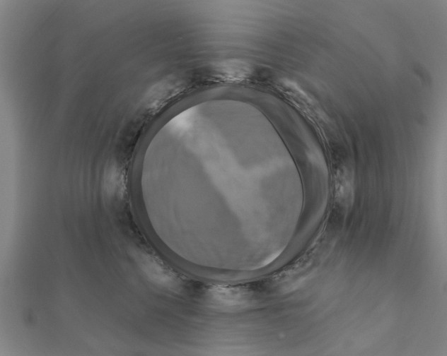 X0000111200568200908121113