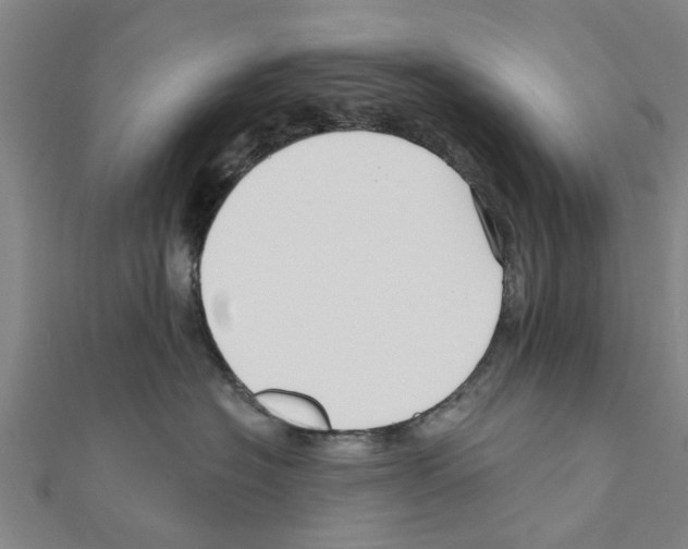 X0000111200574200908121113