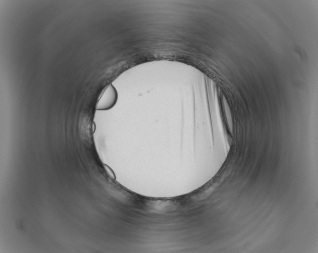 X0000111200575200908121113