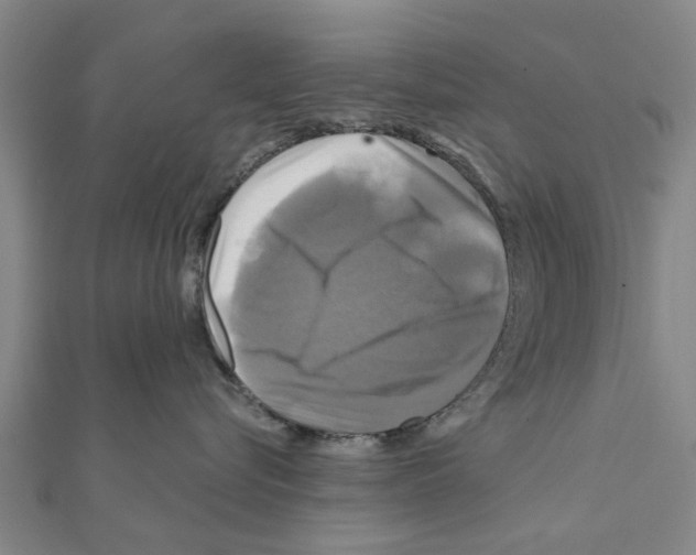 X0000111200576200908121113