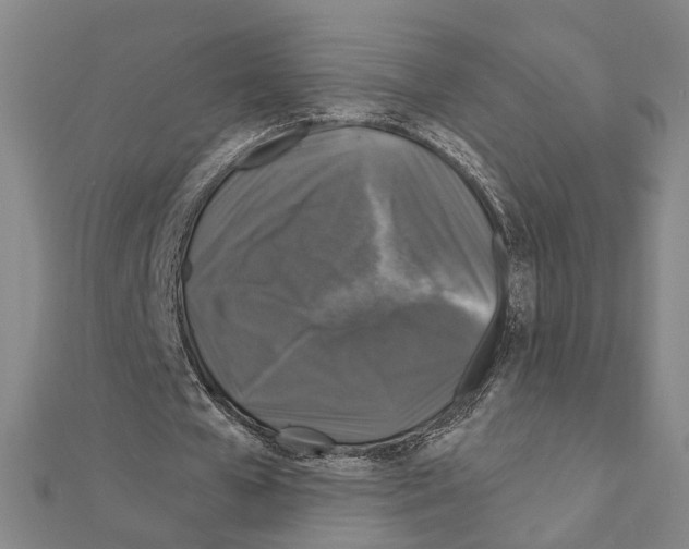 X0000111200577200908121112