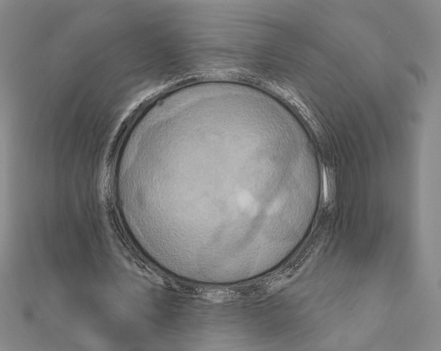 X0000111200579200908121112