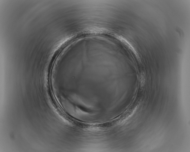 X0000111200581200908121112