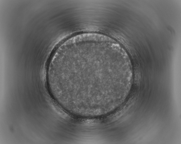 X0000111200584200908121112