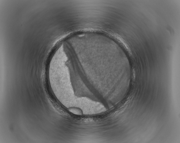 X0000111200588200908121112