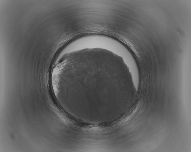 X0000111200589200908121112