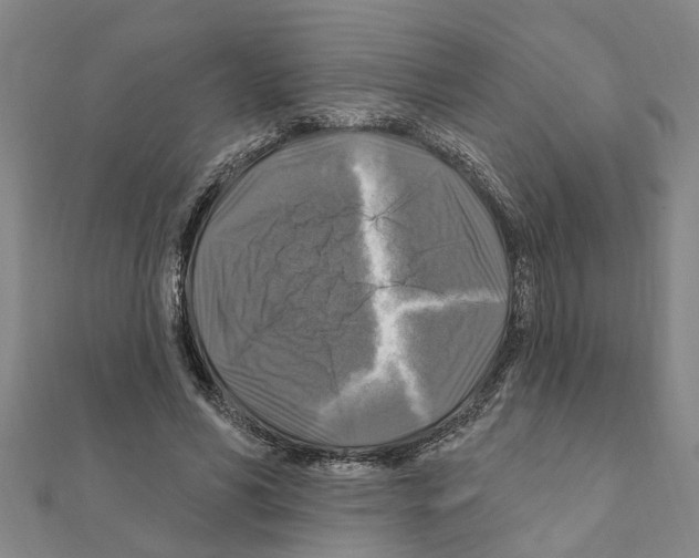 X0000111200590200908121112