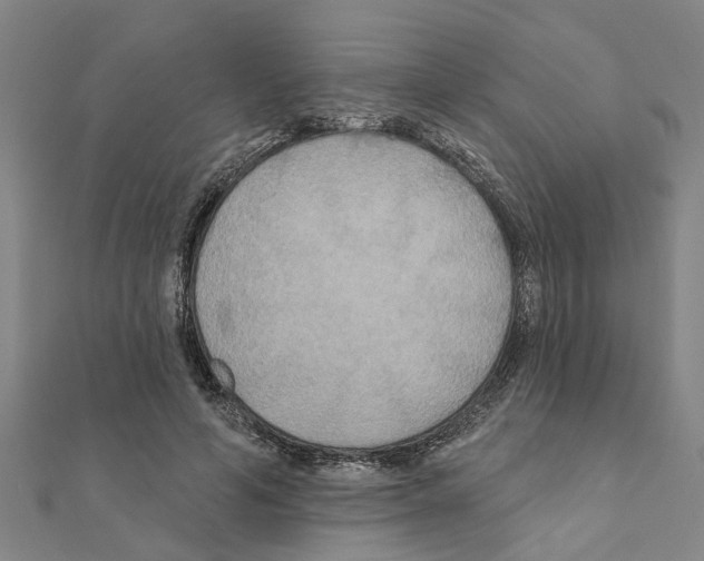 X0000111200594200908121112