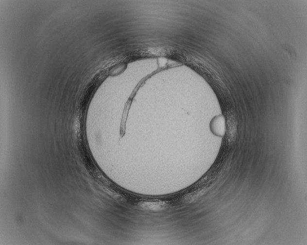 X0000111200595200908121112