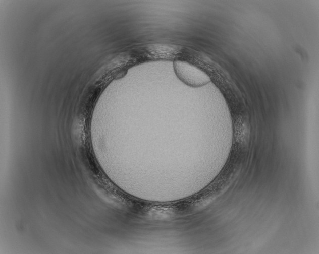 X0000111200599200908121112