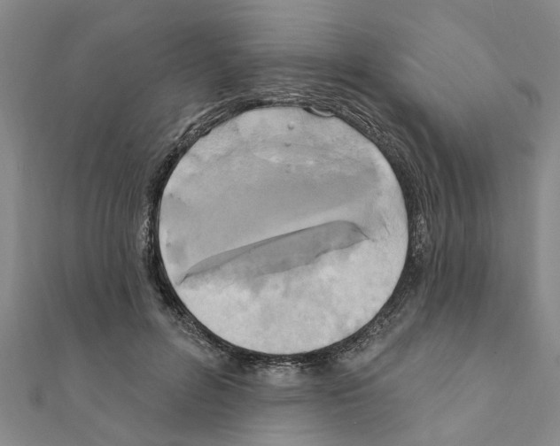 X0000111200600200908121112