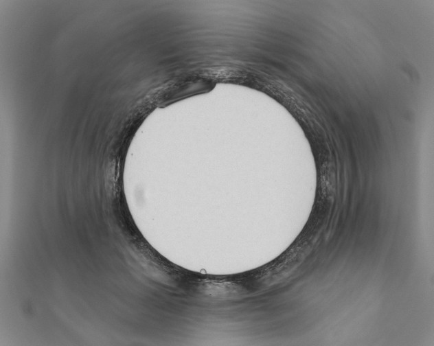 X0000111200605200908121112