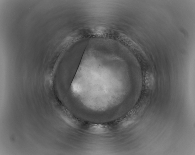 X0000111200611200908121112