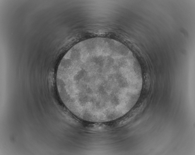 X0000111200612200908121112