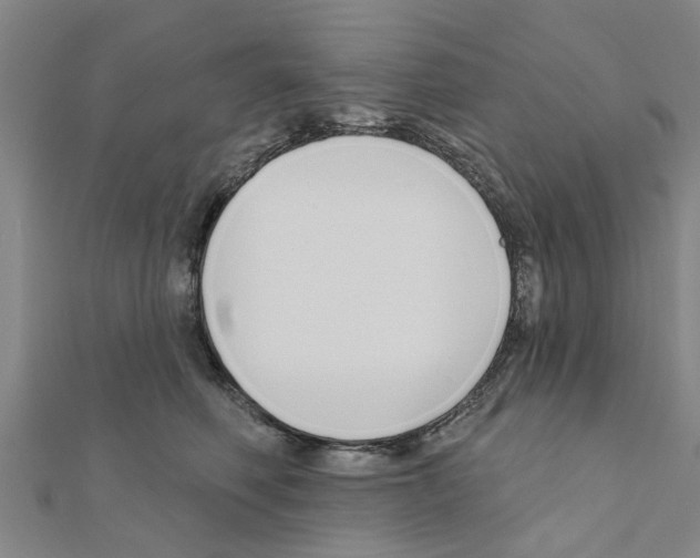 X0000111200614200908121112