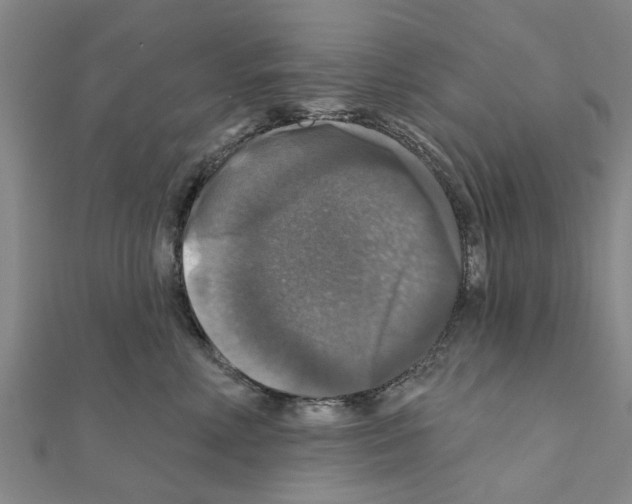 X0000111200618200908121112