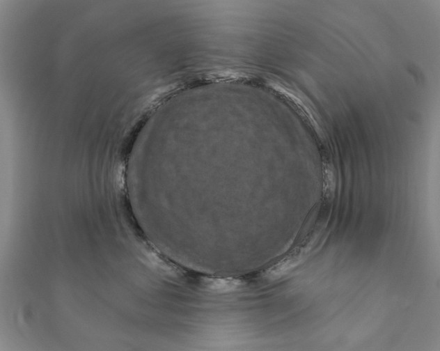 X0000111200621200908121112