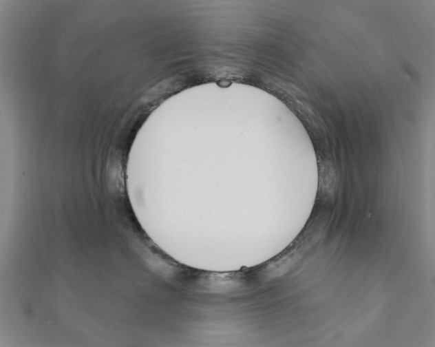 X0000111200622200908121112