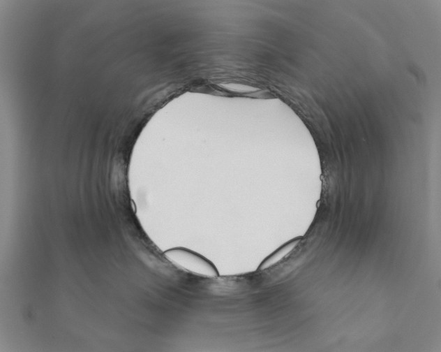 X0000111200623200908121111