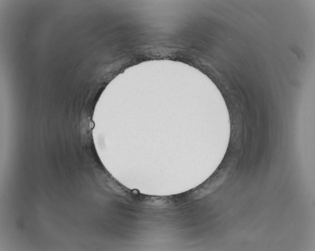 X0000111200624200908121111