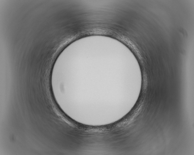 X0000111200625200908121111