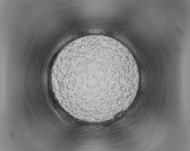 X0000111200626200908121111