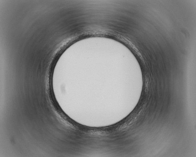 X0000111200629200908121111