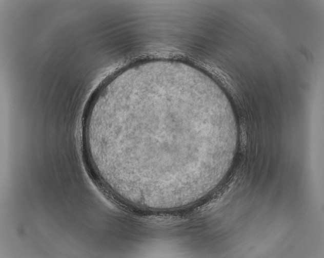 X0000111200630200908121111