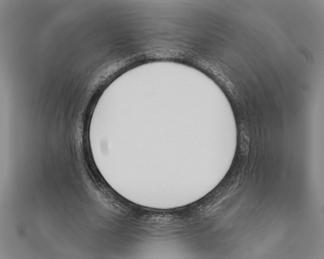 X0000111200631200908121111