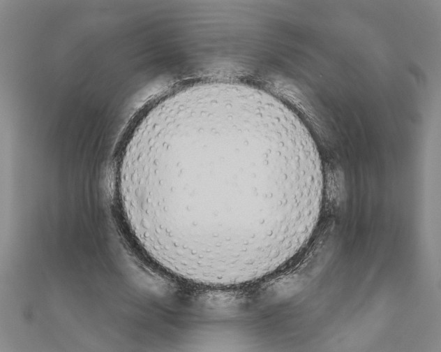 X0000111200632200908121111