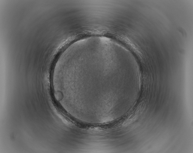 X0000111200634200908121111