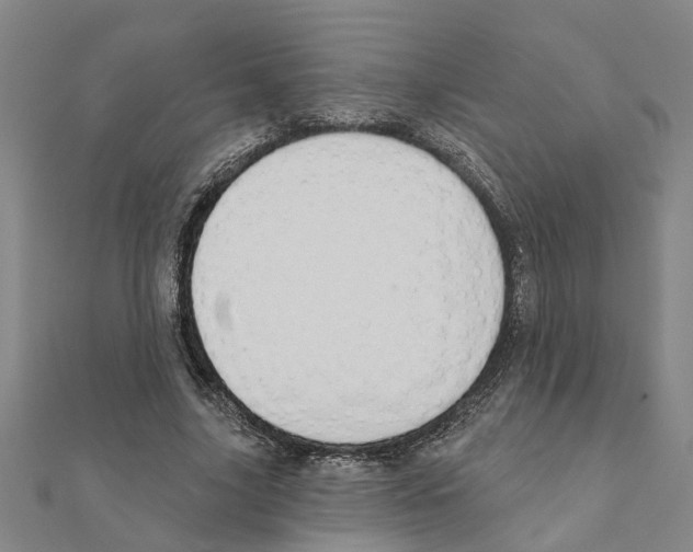 X0000111200635200908121111