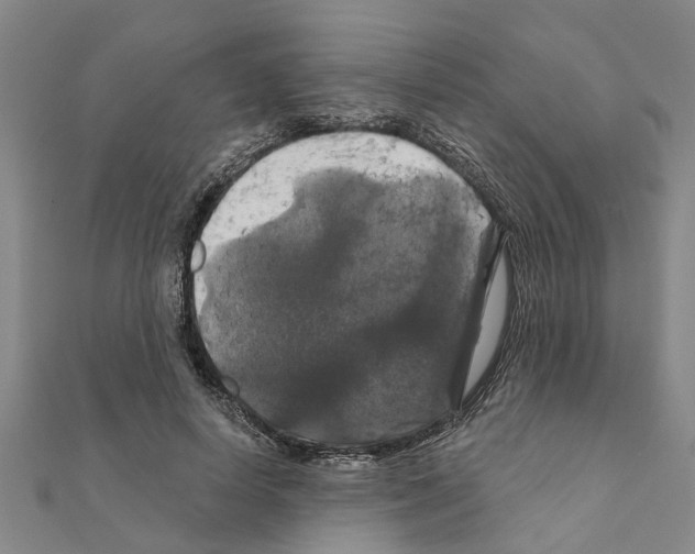 X0000111200642200908121111