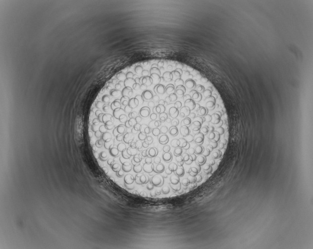 X0000111200646200908121111