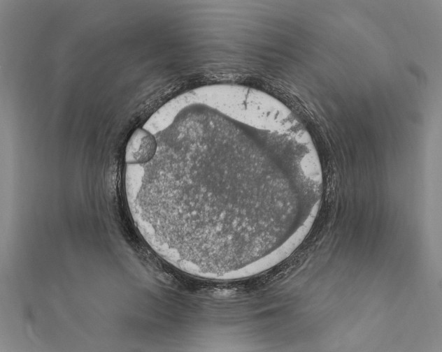 X0000111200647200908121111