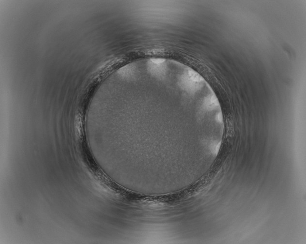 X0000111200648200908121111