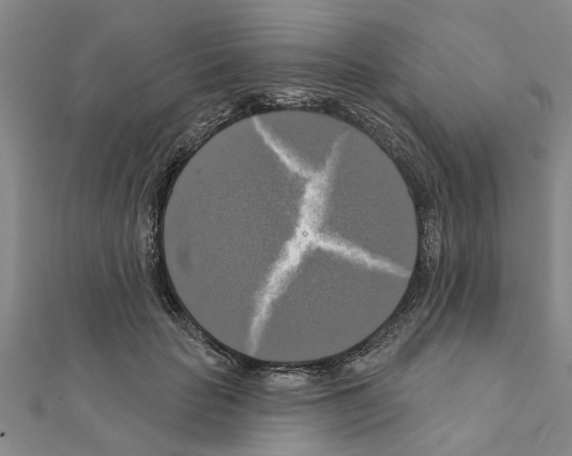 X0000111200653200908121111