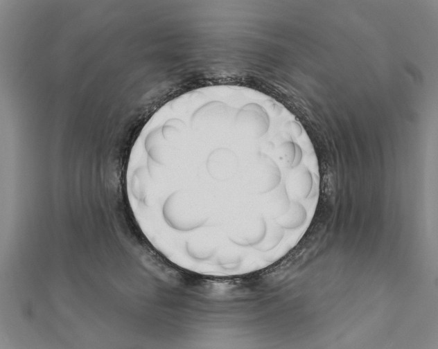 X0000111200662200908121111